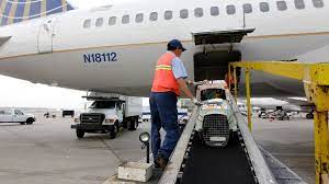 Compania aeriană blue air transportă animale de companie de talie mică, pisici și căței, cu o greutate de până la 6 kg incluzând cușca sau geanta de transport cu pereți flexibili, la bordul aeronavei. Cu Animalul De Companie In Avion Cum SÄƒ