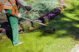 Garden Clearance | Grounds Maintenance | McGowan Landscapes Ltd