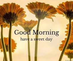 Check spelling or type a new query. 150 Beautiful Good Morning Images Best Collection