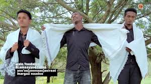 Untuk melihat detail lagu new hacalu hundesa music 2020 klik salah satu judul yang cocok, kemudian untuk link download new hacalu hundesa music 2020 ada di halaman berikutnya. Ethiopian Music Haacaaluu Hundeessaa Tiif New Ethiopian Music 2020 Official Video Youtube