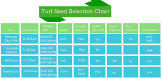 The 5 Tips For Germinating Grass Seed