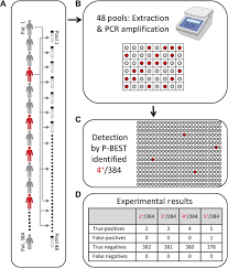 A career summary for a resume saves. Efficient High Throughput Sars Cov 2 Testing To Detect Asymptomatic Carriers Science Advances