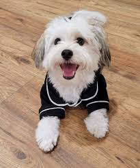 It's always an adventure driving around with @breal 😅 much love to our bro  @fredwreck for joining us