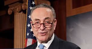 Her works as a chief operating officer at the new york public library has been the pioneer to her massive for the bank balance. Chuck Schumer Alchetron The Free Social Encyclopedia