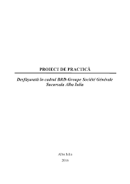 Proiect De PracticÄƒ Alexandra Danciu Academia Edu