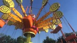 DandiLion Daze (Muskego Fest)