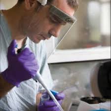 Depicts Linear bruises) Figure: 3( Depicts Florid areas of...