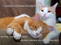Резултат с изображение за „шутки“