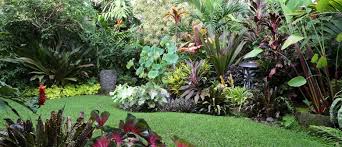 Check spelling or type a new query. How To Create A Tropical Garden Palmers Garden Centre