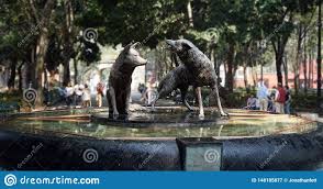 Vives, trabajas o transitas por coyoacan, síguenos tenemos tips y mucho más para ti. Brunnen Coyoacan Mexiko Stockbild Bild Von Kojoten 148185877