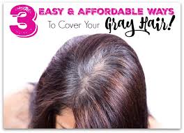 3 Easy Affordable Ways To Cover Your Gray Hair Grey Hair Diy Temporary Hair Color Diy Cover Gray Hair Naturally