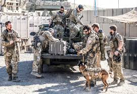 Contents on this website are for promotional purpose only! Seal Team Is Setting Up A Big Episode For Their Resident Pup Cerberus