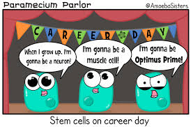 The Amoeba Sisters Stem Cell Aspirations Find All Our Science Comics