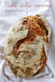 Il Gaio Mondo Di Gaia Pane Della Nonna Evolution Pane Artigianale Ricette Di Cucina Ricette