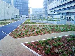 We appreciate your feedback and would love to hear from you. Copenhagen Adopts A Mandatory Green Roof Policy