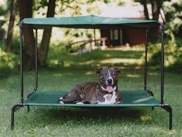 The canine equivalent of a cot, elevated beds offer several benefits. Are Elevated Dog Beds Better Benefits Of A Raised Dog Bed Pet Loves Best