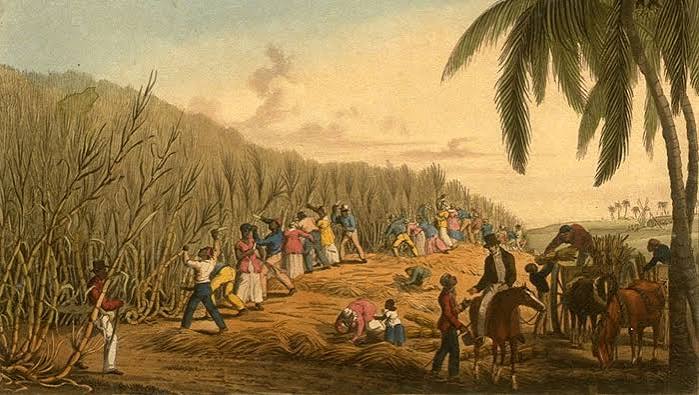 After Caribbean Slavery - Indentured Labour - History Guild