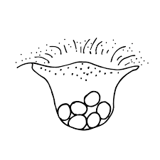 Black And White Homeschool Clipart Turtle2large Gif 1000 1000 Sea Turtle Life Cycle Turtle Life Cycle Turtle Life