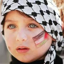 shaik malik amer (shaikmalikamer)