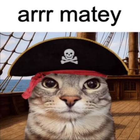 Pirate Cat Meme