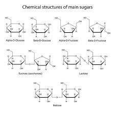 Building Blocks Of Life Study Guide Study Chemistry Biochemistry Chemistry