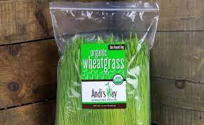 Apart from reversing grey hair to its natural color, wheatgrass is also a powerful disease fighter as it has the ability to fend off the advance of cancer cells and tumours. Can Wheatgrass Reverse Gray Hair Naturallycurly Com
