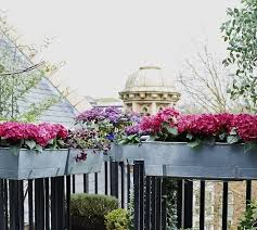 A window box is a quick way to give your balcony a fresh and floral look. Hardscaping 101 Window Boxes Gardenista