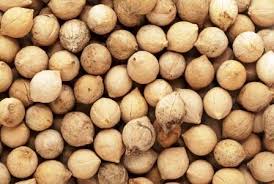 Image result for Putranjivaceae