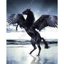 Pegasus is a spyware, manufactured by israel's nso group.the software is reportedly marketed to governments across the world. Diamond Painting Black Pegasus Horse Diamond Paintings Nederland
