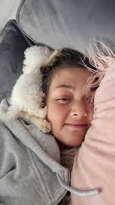 What are some key things to know about bichon frises?