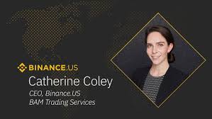 You can also use credit card to invest in ripple. Head Of Xrp Institutional Liquidity Ripple Now Ceo Of Bam Trading Operator Of Binance Usa The Xrp Daily