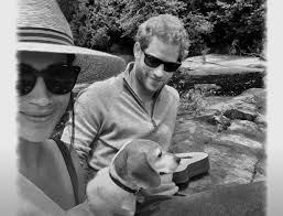 27 Photos Of Prince Harry & Meghan Markle With Dogs