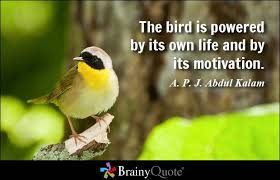 118 A P J Abdul Kalam Quotes Brainyquote Motivation This Is Us Quotes Inspirational Quotes