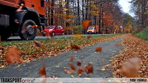 Zo rijden er op verschillende trajecten geen treinen door rijp of ijzel aan de bovenleiding. Transport Online Adac Truckservice Waarschuwt Herfstbladeren Zijn Als Ijzel