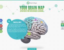 Your Brain Map Rotate A 3d Brain Model To Explore Its Parts Open Colleges Brain Mapping Fun Website Design Learning Strategies