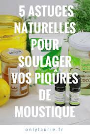 Vous venez de vous faire piquer par un moustique ? 5 Astuces Naturelles Pour Soulager Les Piqures De Moustique Piqure De Moustique Moustique Remede Piqure Moustique