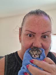 Let's welcome our new members: Angelina Solis, Briana Maxwell, Jazmin  Mejia, Daniella Belthius, Fred Silberkraus, Jurnee Malina