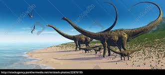 Diplodocus walked the earth about 150 million years ago in the late jurassic era. Diplodocus Herd Lizenzfreies Bild 22876195 Bildagentur Panthermedia