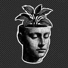 Black And White Leaf Images