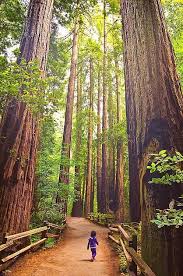 Pin On California Dreaming