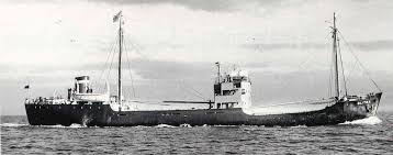 Image result for Blauw 1986 Salvesen Christian