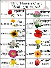 The Story Of Pansy Flower Name In Telugu Has Just Gone Viral In 2020 Hindi Language Learning Flower Chart Hindi Alphabet
