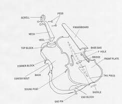 It's important to know the different parts of a violin to help understand various techniques. Using Wood For Violin Makers Oklahoma State University