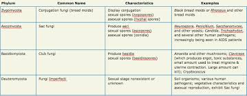 Microbiology Chap 11 Diagram Quizlet