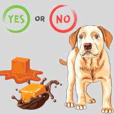 Is Caramel Bad For Dogs Complete Guide