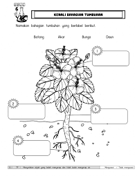 Tauhid darjah 6 pilih jawapan yang betul. Unit 6 Tumbuhan Sains Tahun 1 Worksheet