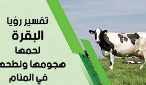 إذا رأت المرأة الحامل في منامها الكوسا وكانت مطهية، فهذا يدل ويشير إلى أنها ولادتها. ØªÙØ³ÙŠØ± Ø­Ù„Ù… Ø±Ø¤ÙŠØ© Ø§Ù„Ø¨Ù‚Ø±Ø© ÙÙŠ Ø§Ù„Ù…Ù†Ø§Ù… ÙˆØ¯Ù„Ø§Ù„ØªÙ‡Ø§ Ø¨Ø§Ù„ØªÙØµÙŠÙ„ ØªÙØ³ÙŠØ± Ø§Ù„Ø§Ø­Ù„Ø§Ù… Ø§Ø¨Ù† Ø³ÙŠØ±ÙŠÙ†