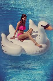 pin by tirza haasnoot on inspirational board pool floaties inflatable swan