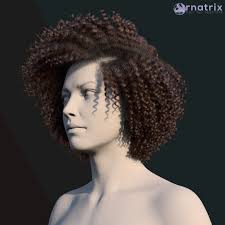 Artstation Ornatrix Curly Hair And Renderman Pxrmarschnerhair Shader Jeordanis Figuereo Curly Hair Styles Hair Reference Zbrush Hair