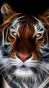 Display your favorite animals on your device. 52 Cool Animal